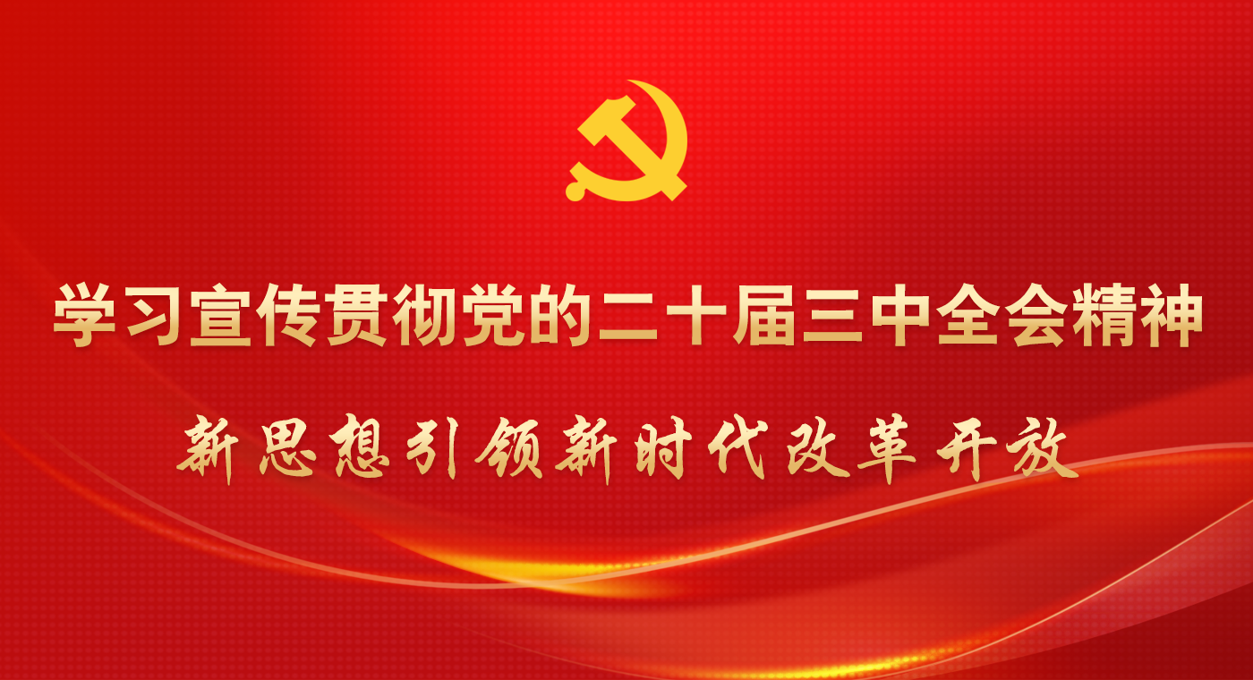 学习党的二十届三中全会